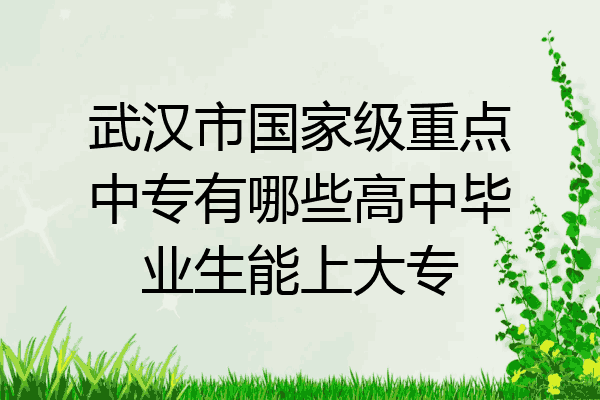 武汉市国家级重点中专有哪些高中毕业生能上大专