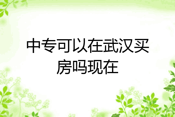中专可以在武汉买房吗现在