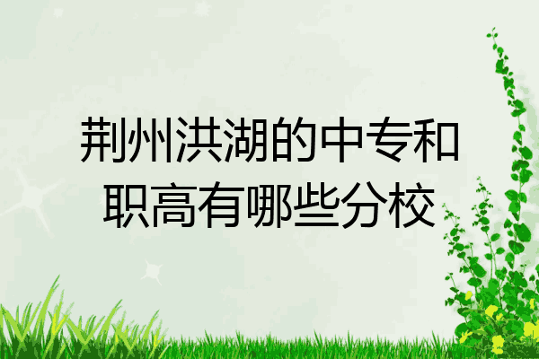 荆州洪湖的中专和职高有哪些分校