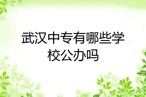 武汉中专有哪些学校公办吗
