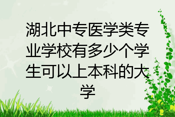 湖北中专医学类专业学校有多少个学生可以上本科的大学
