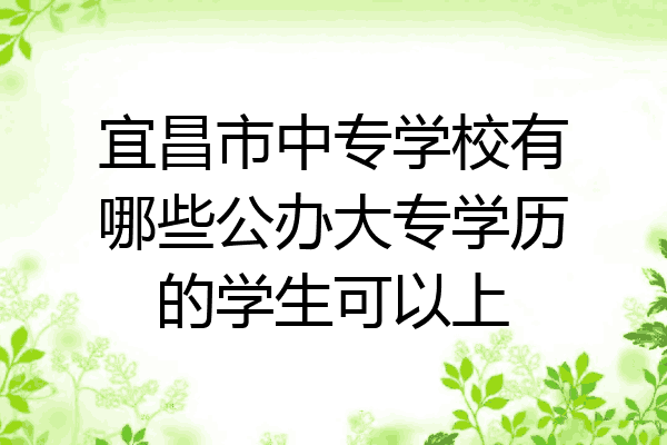 宜昌市中专学校有哪些公办大专学历的学生可以上