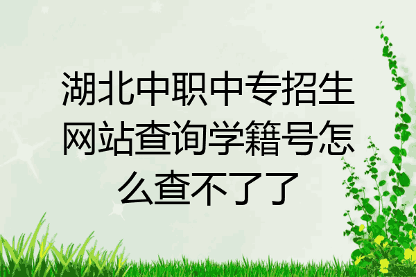 湖北中职中专招生网站查询学籍号怎么查不了了