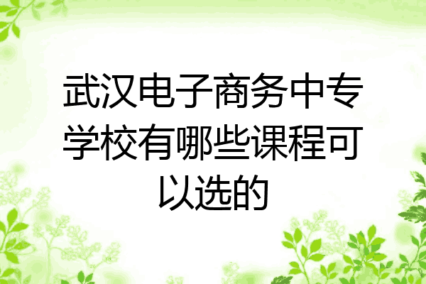 武汉电子商务中专学校有哪些课程可以选的