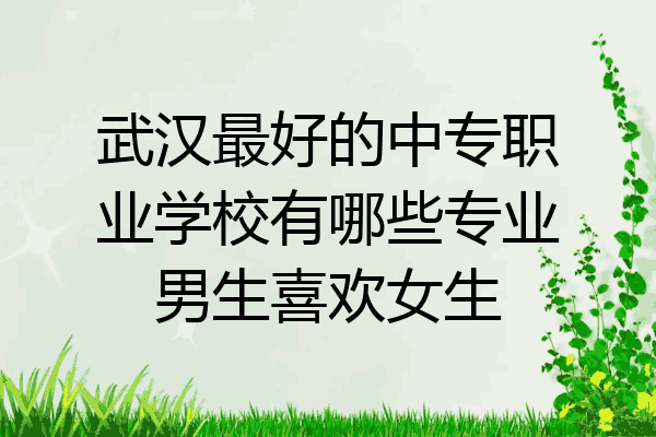 武汉最好的中专职业学校有哪些专业男生喜欢女生