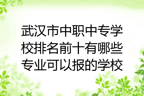武汉市中职中专学校排名前十有哪些专业可以报的学校