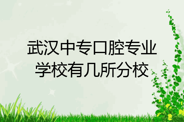 武汉中专口腔专业学校有几所分校
