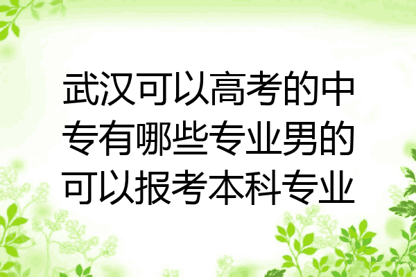 武汉可以高考的中专有哪些专业男的可以报考本科专业