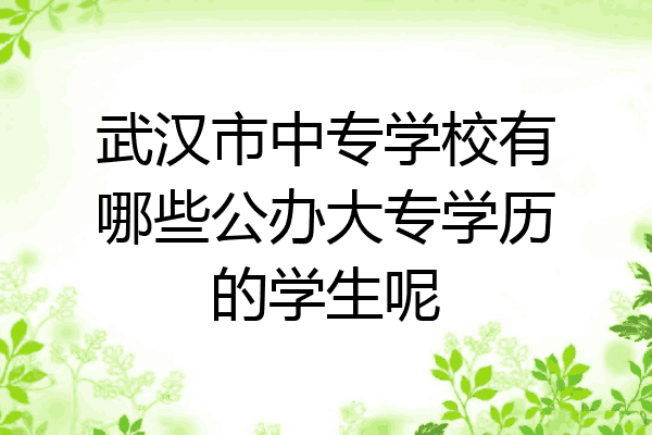 武汉市中专学校有哪些公办大专学历的学生呢