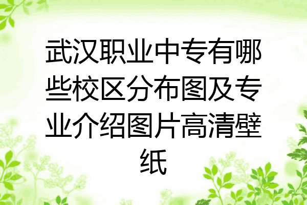武汉职业中专有哪些校区分布图及专业介绍图片高清壁纸