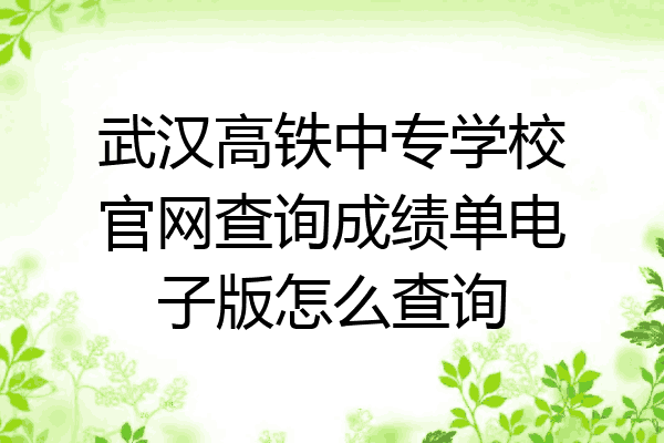武汉高铁中专学校官网查询成绩单电子版怎么查询