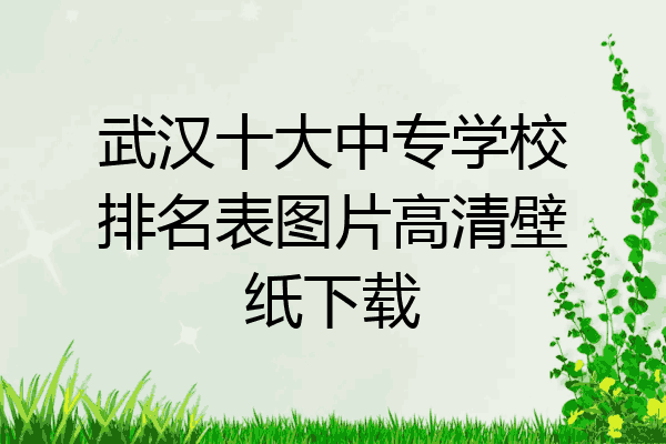 武汉十大中专学校排名表图片高清壁纸下载