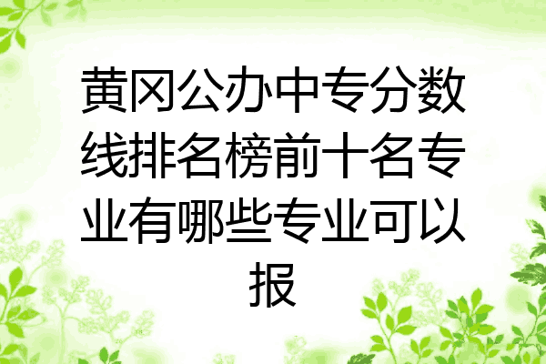 黄冈公办中专分数线排名榜前十名专业有哪些专业可以报