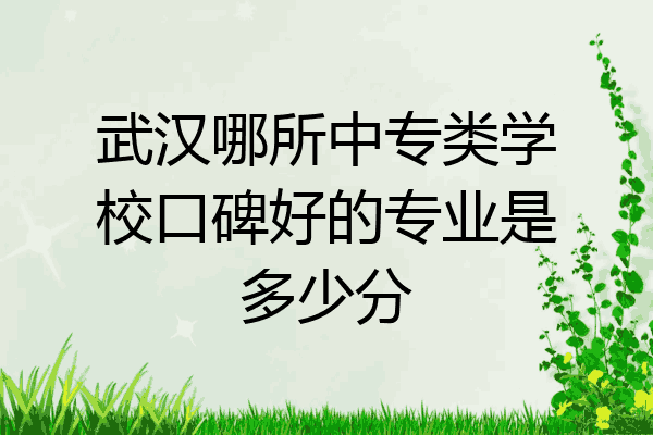 武汉哪所中专类学校口碑好的专业是多少分