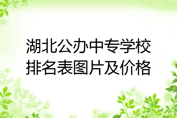 湖北公办中专学校排名表图片及价格