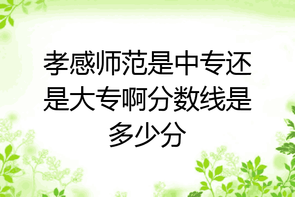 孝感师范是中专还是大专啊分数线是多少分