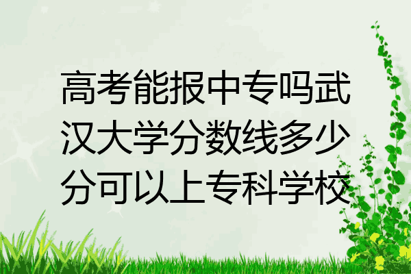 高考能报中专吗武汉大学分数线多少分可以上专科学校