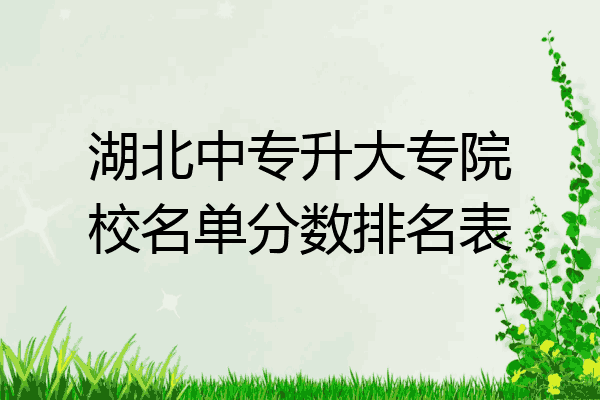 湖北中专升大专院校名单分数排名表