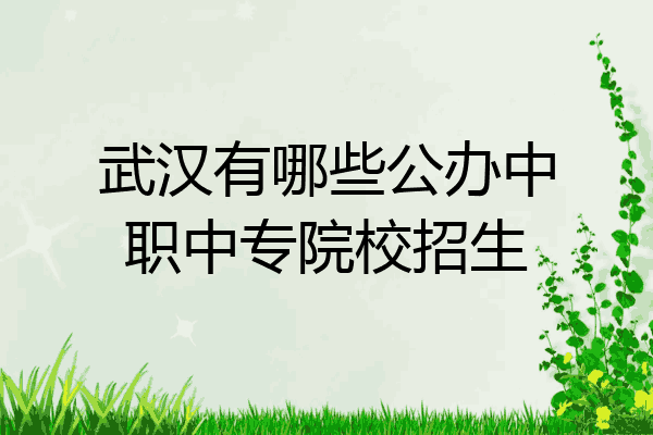武汉有哪些公办中职中专院校招生