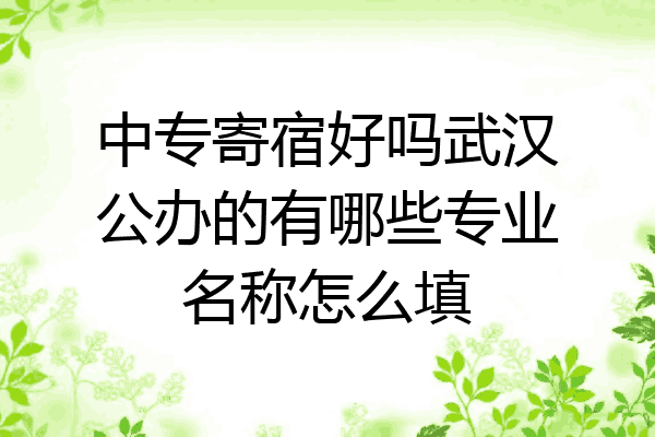 中专寄宿好吗武汉公办的有哪些专业名称怎么填