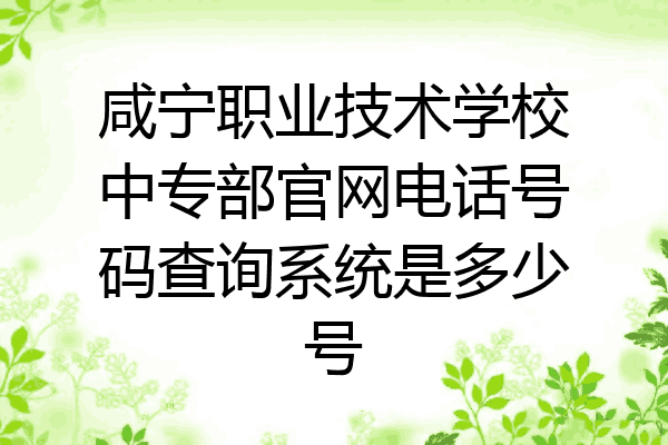 咸宁职业技术学校中专部官网电话号码查询系统是多少号