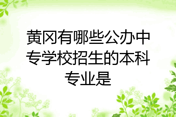 黄冈有哪些公办中专学校招生的本科专业是