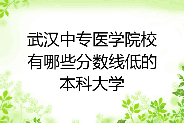 武汉中专医学院校有哪些分数线低的本科大学