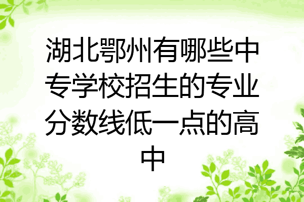 湖北鄂州有哪些中专学校招生的专业分数线低一点的高中