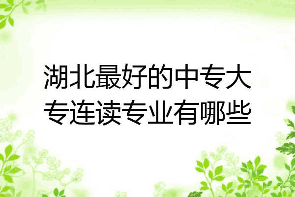 湖北最好的中专大专连读专业有哪些