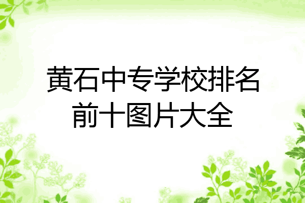 黄石中专学校排名前十图片大全