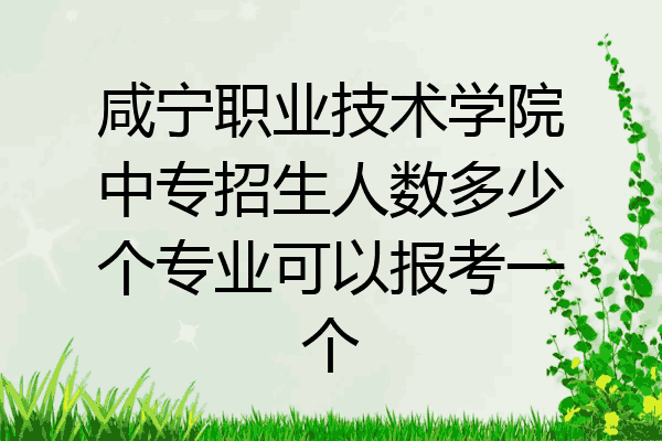 咸宁职业技术学院中专招生人数多少个专业可以报考一个