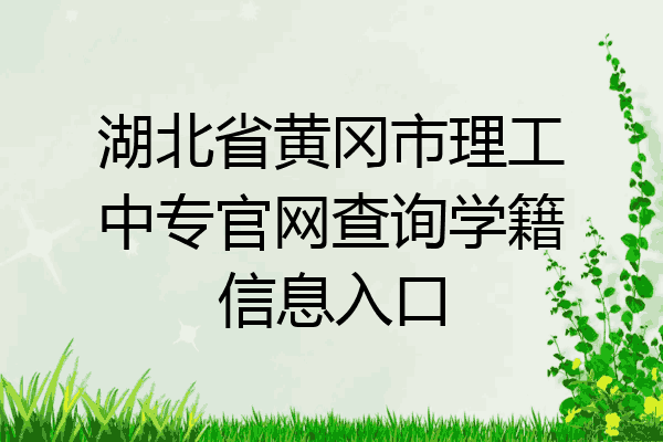 湖北省黄冈市理工中专官网查询学籍信息入口