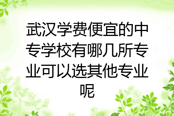 武汉学费便宜的中专学校有哪几所专业可以选其他专业呢