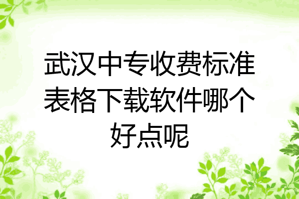 武汉中专收费标准表格下载软件哪个好点呢