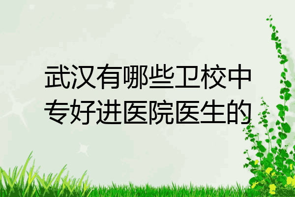 武汉有哪些卫校中专好进医院医生的