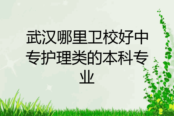 武汉哪里卫校好中专护理类的本科专业