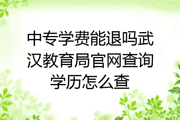 中专学费能退吗武汉教育局官网查询学历怎么查