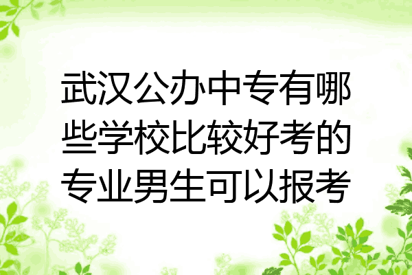 武汉公办中专有哪些学校比较好考的专业男生可以报考