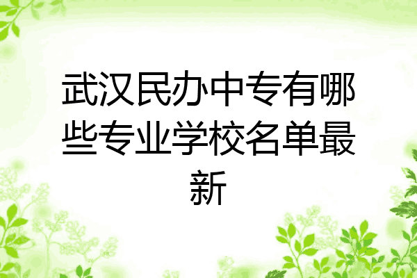 武汉民办中专有哪些专业学校名单最新