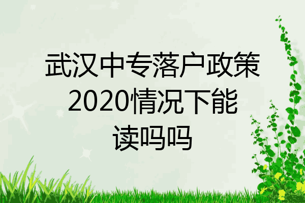武汉中专落户政策2020情况下能读吗吗