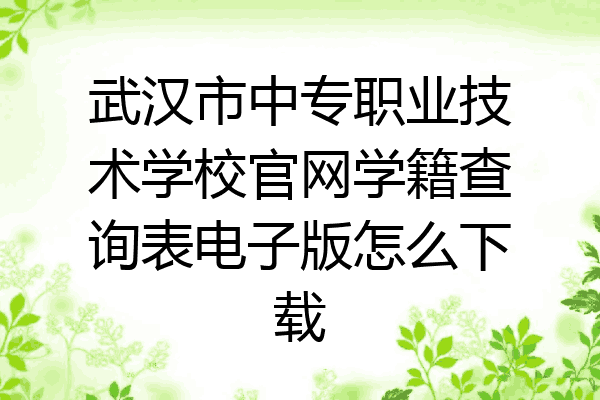 武汉市中专职业技术学校官网学籍查询表电子版怎么下载