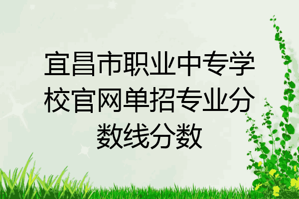 宜昌市职业中专学校官网单招专业分数线分数