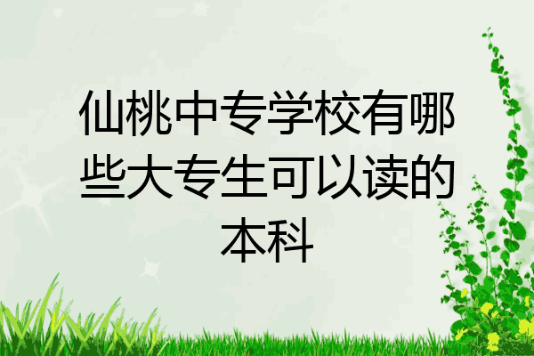 仙桃中专学校有哪些大专生可以读的本科