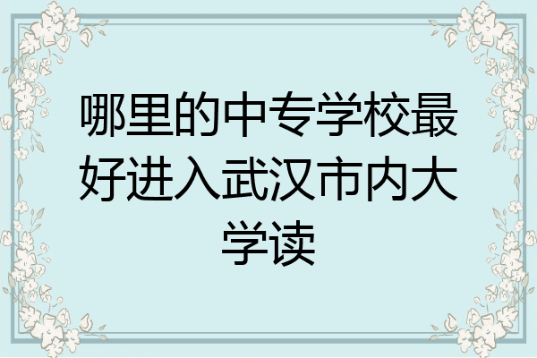 哪里的中专学校最好进入武汉市内大学读