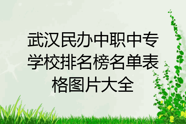 武汉民办中职中专学校排名榜名单表格图片大全