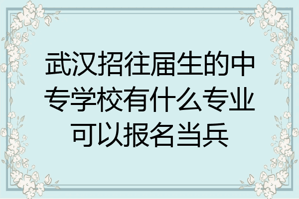武汉招往届生的中专学校有什么专业可以报名当兵