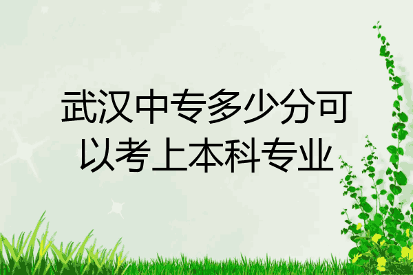 武汉中专多少分可以考上本科专业