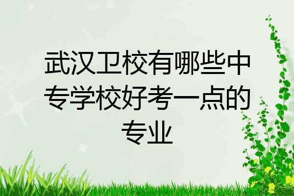武汉卫校有哪些中专学校好考一点的专业