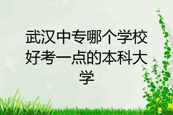 武汉中专哪个学校好考一点的本科大学