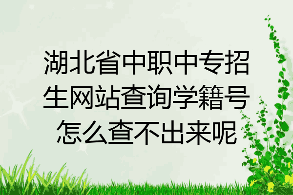 湖北省中职中专招生网站查询学籍号怎么查不出来呢